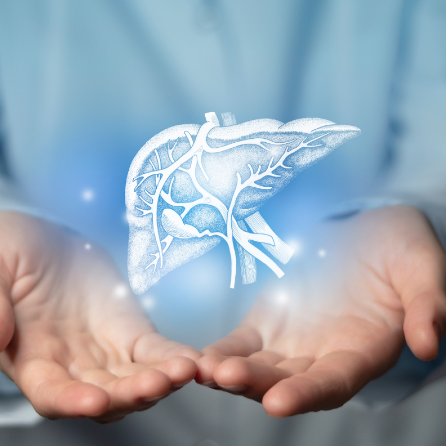 Family Physician