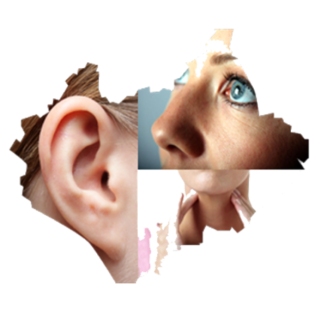 Serivce Image